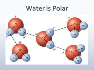 05 water and diffusion