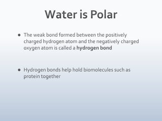 05 water and diffusion
