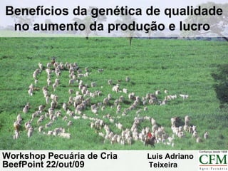 Benefícios da genética de qualidade no aumento da produção e lucro   Workshop Pecuária de Cria  Luis Adriano BeefPoint 22/out/09  Teixeira 