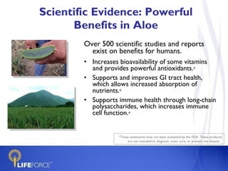 Scientific Evidence: Powerful Benefits in Aloe Over 500 scientific studies and reports exist on benefits for humans. Increases bioavailability of some vitamins and provides powerful antioxidants. * Supports and improves GI tract health, which allows increased absorption of nutrients. * Supports immune health   through long-chain polysaccharides, which increases immune cell function. * *These statements have not been evaluated by the FDA. These products are not intended to diagnose, treat, cure, or prevent any disease.  