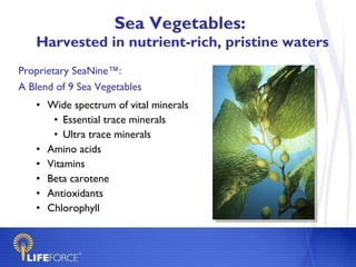 Sea Vegetables:  Harvested in nutrient-rich, pristine waters Proprietary SeaNine™: A Blend of 9 Sea Vegetables Wide spectrum of vital minerals Essential trace minerals Ultra trace minerals Amino acids Vitamins Beta carotene Antioxidants Chlorophyll 