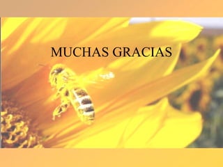 MUCHAS GRACIAS 