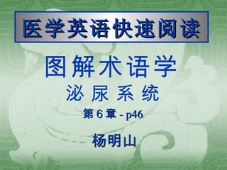 图解术语学 泌 尿 系 统 第６章 - p46 医学英语快速阅读 杨明山 