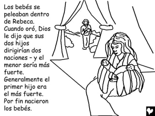 Los bebés se
peleaban dentro
de Rebeca.
Cuando oró, Dios
le dijo que sus
dos hijos
dirigirían dos
naciones – y el
menor sería más
fuerte.
Generalmente el
primer hijo era
el más fuerte.
Por fin nacieron
los bebés.
 