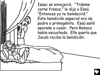 Isaac se envejeció. “Tráeme
carne fresca,” le dijo a Esaú.
“Entonces yo te bendeciré.”
Esta bendición especial era de
padre a primogénito. Esaú salió
apurado a cazar. Pero Rebeca
había escuchado. Ella quería que
Jacob reciba la bendición.
 