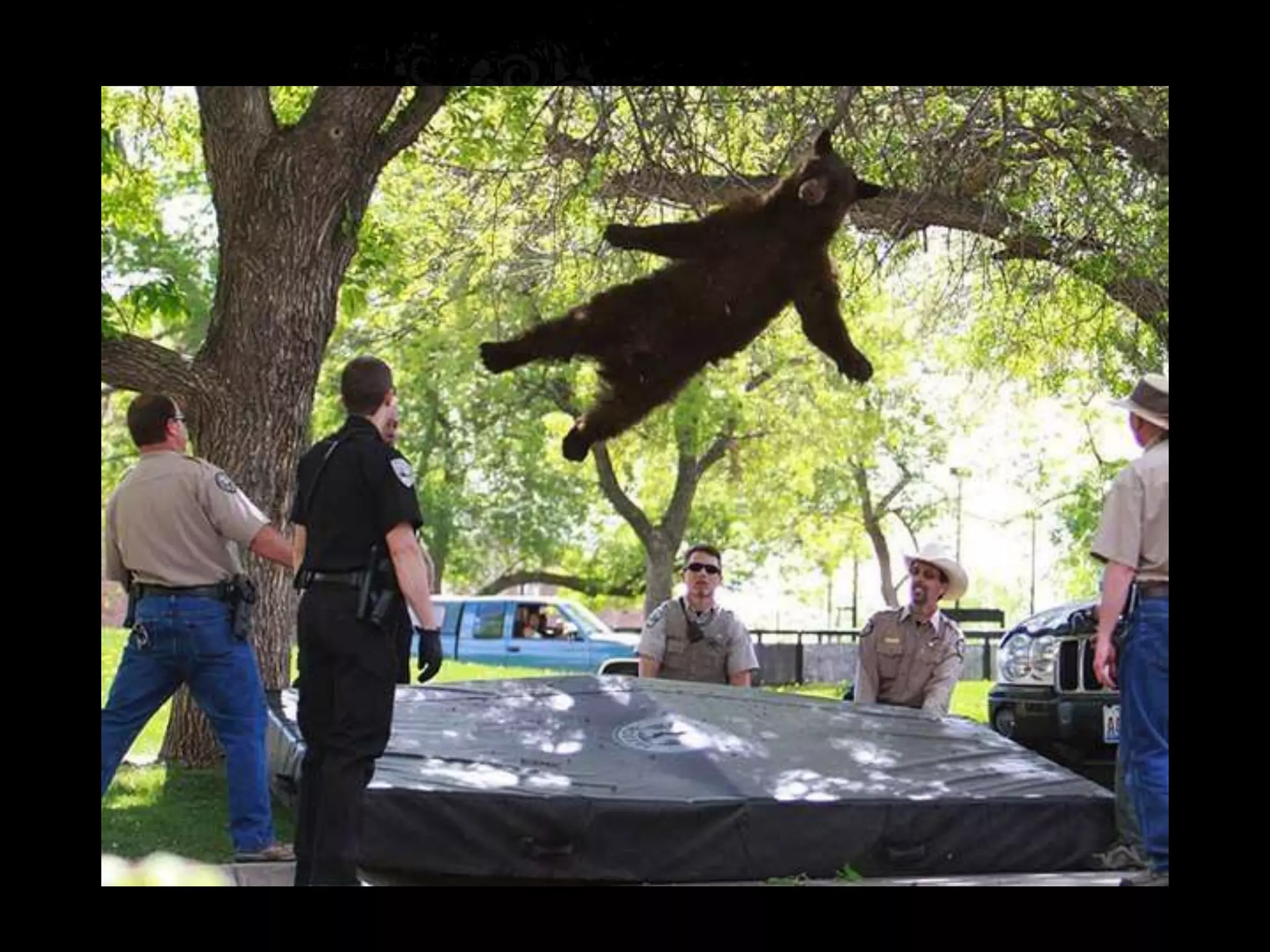 НЕ ЗАБЫТЬ!
• Записать составляющие лучшего
  репортерского фото
 