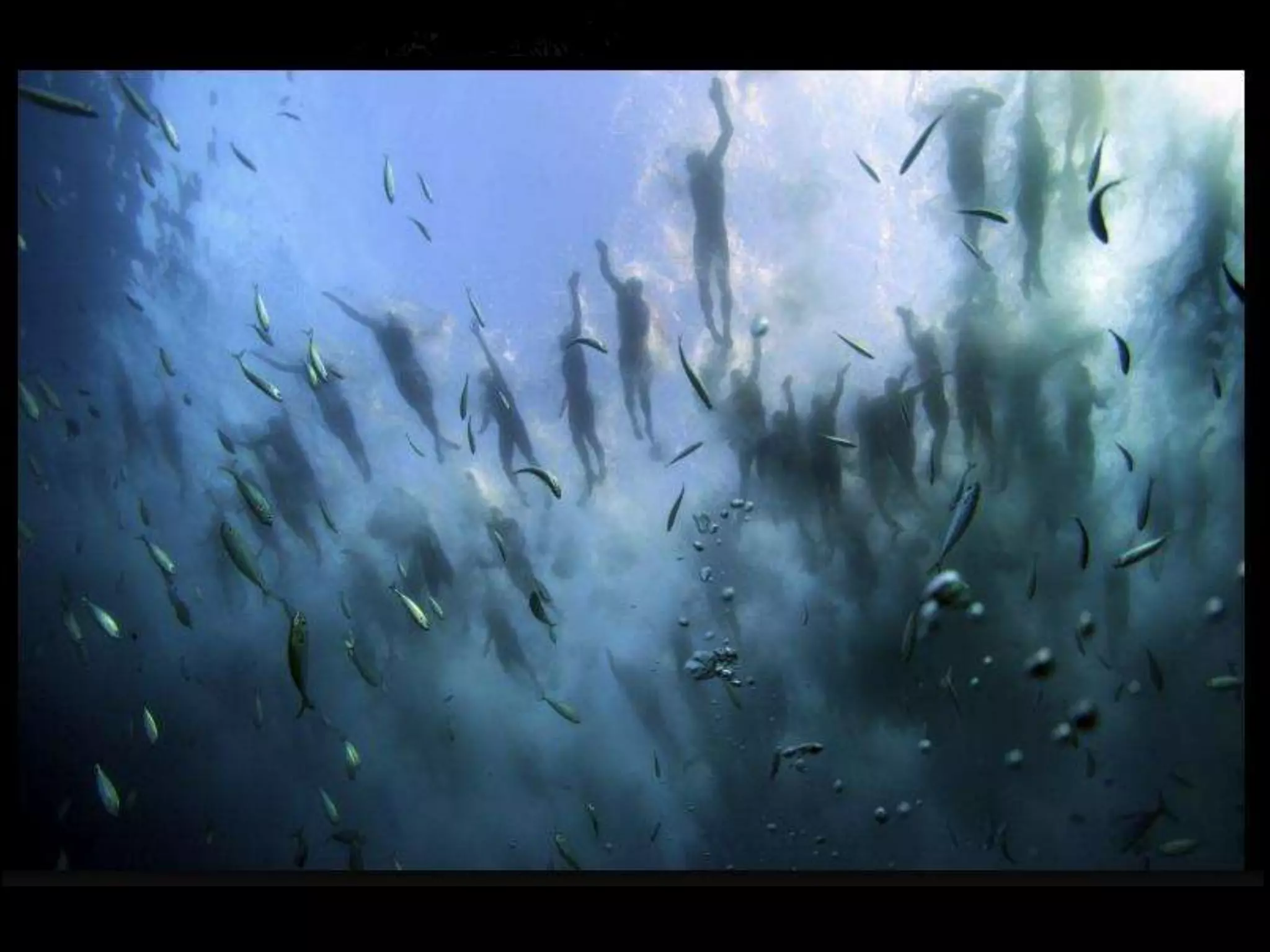 Какие из последних 5 фото не
являются фотожурналистикой?
 