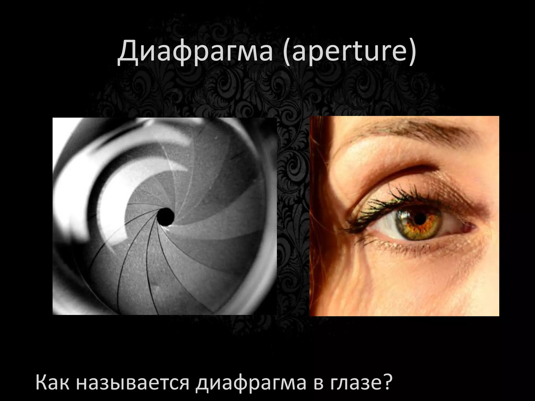 Задание
• Сделайте 2 одинаковых фото с разной
  глубиной резкости.
 