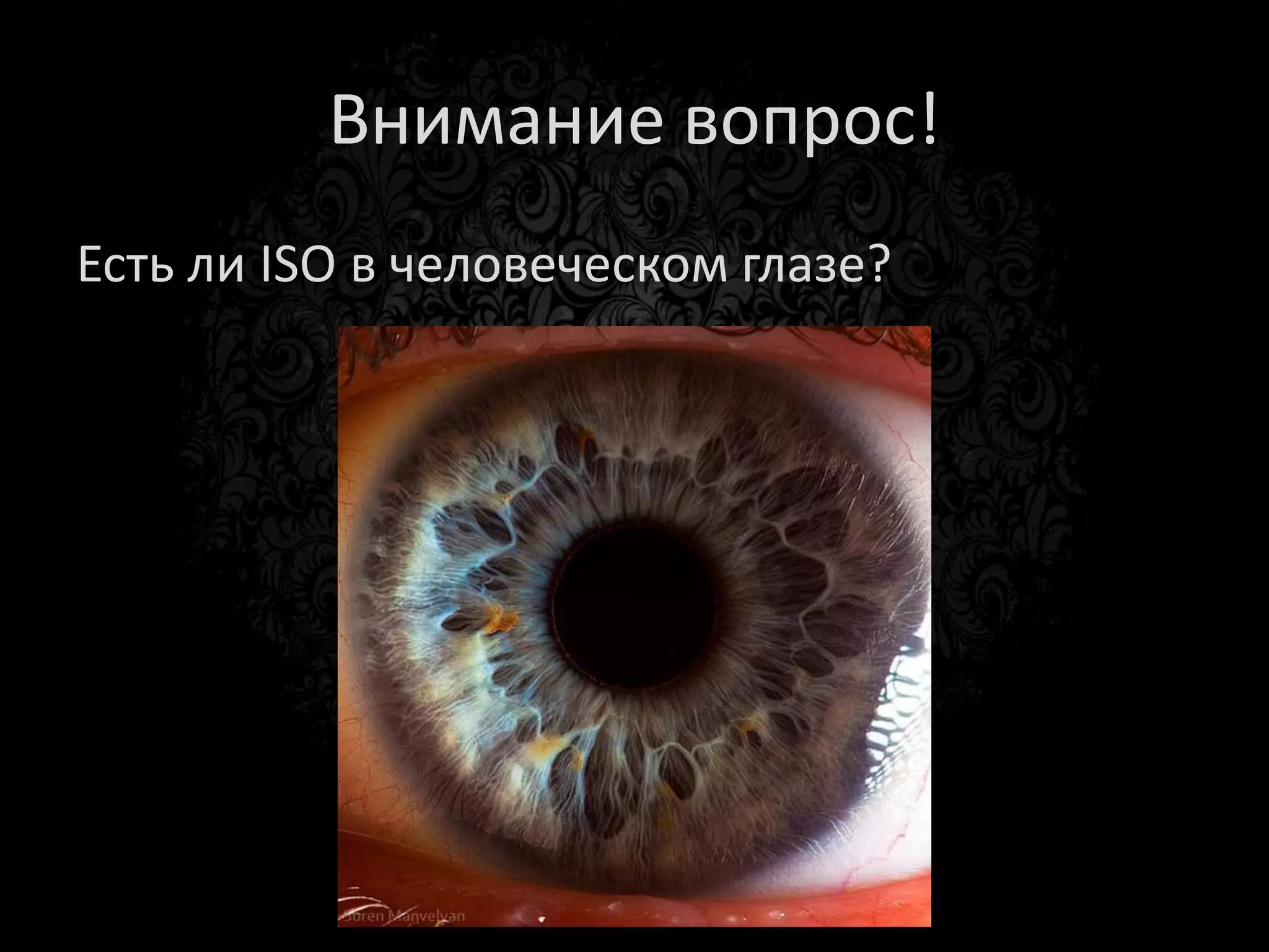 Zoom (трансфокатор)
 