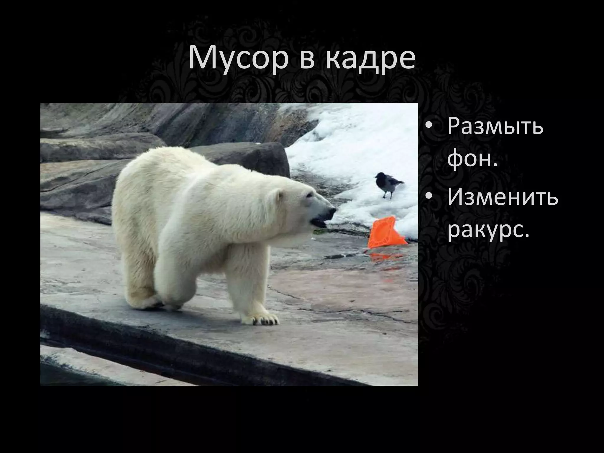 «Напротив окна»
 