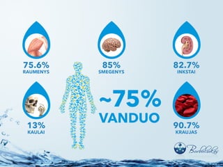 Vanduo – gyvybės šaltinis