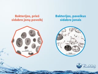 Vanduo – gyvybės šaltinis