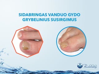 Vanduo – gyvybės šaltinis