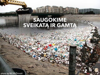 Vanduo – gyvybės šaltinis