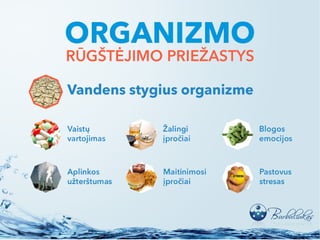 Vanduo – gyvybės šaltinis