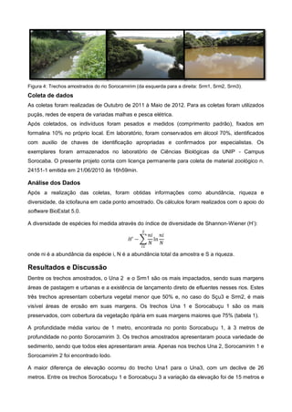 Figura 4: Trechos amostrados do rio Sorocamirim (da esquerda para a direita: Srm1, Srm2, Srm3).
Coleta de dados
As coletas foram realizadas de Outubro de 2011 à Maio de 2012. Para as coletas foram utilizados
puçás, redes de espera de variadas malhas e pesca elétrica.
Após coletados, os indivíduos foram pesados e medidos (comprimento padrão), fixados em
formalina 10% no próprio local. Em laboratório, foram conservados em álcool 70%, identificados
com auxilio de chaves de identificação apropriadas e confirmados por especialistas. Os
exemplares foram armazenados no laboratório de Ciências Biológicas da UNIP - Campus
Sorocaba. O presente projeto conta com licença permanente para coleta de material zoológico n.
24151-1 emitida em 21/06/2010 às 16h59min.

Análise dos Dados
Após a realização das coletas, foram obtidas informações como abundância, riqueza e
diversidade, da ictiofauna em cada ponto amostrado. Os cálculos foram realizados com o apoio do
software BioEstat 5.0.

A diversidade de espécies foi medida através do índice de diversidade de Shannon-Wiener (H’):

                                                 ∑

onde ni é a abundância da espécie i, N é a abundância total da amostra e S a riqueza.

Resultados e Discussão
Dentre os trechos amostrados, o Una 2 e o Srm1 são os mais impactados, sendo suas margens
áreas de pastagem e urbanas e a existência de lançamento direto de efluentes nesses rios. Estes
três trechos apresentam cobertura vegetal menor que 50% e, no caso do Sçu3 e Srm2, é mais
visível áreas de erosão em suas margens. Os trechos Una 1 e Sorocabuçu 1 são os mais
preservados, com cobertura da vegetação ripária em suas margens maiores que 75% (tabela 1).

A profundidade média variou de 1 metro, encontrada no ponto Sorocabuçu 1, à 3 metros de
profundidade no ponto Sorocamirim 3. Os trechos amostrados apresentaram pouca variedade de
sedimento, sendo que todos eles apresentaram areia. Apenas nos trechos Una 2, Sorocamirim 1 e
Sorocamirim 2 foi encontrado lodo.

A maior diferença de elevação ocorreu do trecho Una1 para o Una3, com um declive de 26
metros. Entre os trechos Sorocabuçu 1 e Sorocabuçu 3 a variação da elevação foi de 15 metros e
 
