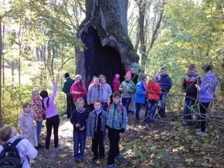 вишеньки 06.10.14