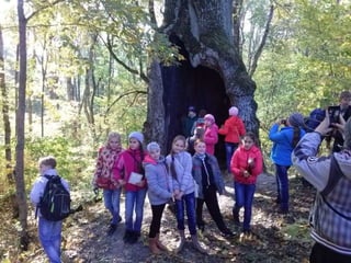 вишеньки 06.10.14