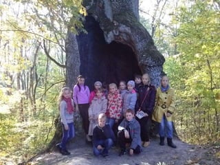 вишеньки 06.10.14