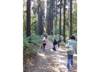 вишеньки 06.10.14