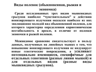 Виды полевок (обыкновенная, рыжая и 
экономка) 
Среди исследованных трех видов мышевидных 
грызунов наиболее “чувствительным” к действию 
ионизирующего излучения оказался наиболее из них 
эволюционно молодой вид обыкновенной полевки, для 
которого характерна определенная кариотипическая 
нестабильность в ареале, в отличие от полевки 
экономки и рыжей полевки. 
Межвидовое сравнение свидетельствует в пользу 
данных, полученных на линейных мышах о том, что 
повышение ионизирующего излучения не индуцирует 
новые генетические повреждения, а усиливает 
потенциально имеющиеся, специфичные для 
отдельных генотипов (разные линии мышей) и 
для отдельных видов (разные виды 
мышевидных грызунов). 
 