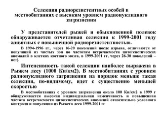 Селекция радиорезистентных особей в 
местообитаниях с высоким уровнем радионуклидного 
загрязнения 
У представителей рыжей и обыкновенной полевок 
обнаруживается отчетливая селекция к 1999-2001 году 
животных с повышенной радиорезистентностью. 
В 1994-1996 гг., через 16-20 поколений после взрыва, отличаются от 
популяций из чистых зон по частотам встречаемости цитогенетических 
аномалий в клетках костного мозга, в 1999-2001 гг, через 26-30 поколений – 
нет). 
Интенсивность такой селекции наиболее выражена в 
Рыжем лесу (1000 Ки/км2). В местообитаниях с уровнем 
радионуклидного загрязнения на порядок меньше такая 
селекция, по-видимому, идет с существенно меньшей 
скоростью 
В местообитаниях с уровнем загрязнения около 100 Ки/км2 в 1999 г 
обнаруживается высокая индивидуальная изменчивость и повышенная 
частота встречаемости цитогенетических аномалий относительно условного 
контроля и популяции из Рыжего леса 1999-2001 гг 
 