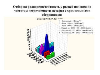 Отбор на радиорезистентность у рыжей полевки по 
частотам встречаемости метафаз с хромосомными 
аберрациями 
Data: NEW3.STA 10v * 10c 
1 - Контроль (< 5 Ки/км2 ) 
2 - Янов 1996 (~ 200 Ки/км2 ) 
3 - Янов 1999 (~ 200 Ки/км2 ) 
4- Рыжий лес 1996 (400 - 1000 Ки/км2 ) 
5 - Рыжий лес 1999 (400 - 1000 Ки/км2 ) 
6 - Рыжий лес 2001 (400 - 1000 Ки/км2 ) 
 