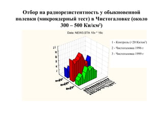Отбор на радиорезистентность у обыкновенной 
полевки (микроядерный тест) в Чистогаловке (около 
300 – 500 Ки/км2) 
Data: NEW3.STA 10v * 16c 
1 - Контроль (<20 Ки/км2) 
2 - Чистогаловка 1996 г 
3 - Чистогаловка 1999 г 
 