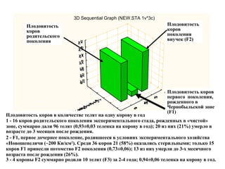 3D Sequential Graph (NEW.STA 1v*3c) 
Плодовитость 
коров 
родительского 
поколения 
Плодовитость 
коров 
поколения 
внучек (F2) 
Плодовитость коров 
первого поколения, 
рожденного в 
Чернобыльской зоне 
(F1) 
Плодовитость коров в количестве телят на одну корову в год 
1 - 16 коров родительского поколения экспериментального стада, рожденных в «чистой» 
зоне, суммарно дали 96 телят (0,93±0,03 теленка на корову в год); 20 из них (21%) умерло в 
возрасте до 3 месяцев после рождения. 
2 - F1, первое дочернее поколение, родившееся в условиях экспериментального хозяйства 
«Новошепеличи (~200 Ки/км2). Среди 36 коров 21 (58%) оказались стерильными; только 15 
коров F1 принесли потомство F2 поколения (0,73±0,06); 13 из них умерли до 3-х месячного 
возраста после рождения (26%). 
3 - 4 коровы F2 суммарно родили 10 телят (F3) за 2-4 года; 0,94±0,06 теленка на корову в год. 
 