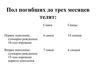 Пол погибших до трех месяцев 
телят: 
Самки Самцы 
Первое поколение, 
суммарно рожденное 
16-тью коровами 
6 самок 14 самцов 
Второе поколение, 
суммарно рожденное 
15-тью коровами 
первого поколения 
7 самок 6 самцов 
 