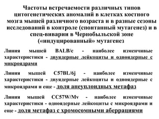 Частоты встречаемости различных типов 
цитогенетических аномалий в клетках костного 
мозга мышей различного возраста и в разные сезоны 
исследований в контроле (спонтанный мутагенез) и в 
спец-виварии в Чернобыльской зоне 
(«индуцированный» мутагенез 
Линия мышей BALB/c - наиболее изменчивые 
характеристики - двуядерные лейкоциты и одноядерные с 
микроядрами 
Линия мышей C57BL/6j - наиболее изменчивые 
характеристики - двуядерные лейкоциты и одноядерные с 
микроядрами и еще - доля анеуплоидных метафаз 
Линия мышей CC57W/Mv - наиболее изменчивые 
характеристики - одноядерные лейкоциты с микроядрами и 
еще - доля метафаз с хромосомными аберрациями 
 