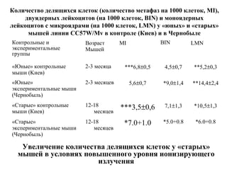 Количество делящихся клеток (количество метафаз на 1000 клеток, MI), 
двуядерных лейкоцитов (на 1000 клеток, BIN) и моноядерных 
лейкоцитов с микроядрами (на 1000 клеток, LMN) у «юных» и «старых» 
мышей линии CC57W/Mv в контроле (Киев) и в Чернобыле 
Контрольные и 
экспериментальные 
группы 
Возраст 
Мышей 
MI BIN LMN 
«Юные» контрольные 
мыши (Kиeв) 
2-3 месяца ***6,8±0,5 4,5±0,7 **5,2±0,3 
«Юные» 
экспериментальные мыши 
(Чернобыль) 
2-3 месяцев 5,6±0,7 *9,0±1,4 **14,4±2,4 
«Старые» контрольные 
мыши (Киев) 
12-18 
месяцев ***3,5±0,6 7,1±1,3 *10,5±1,3 
«Старые» 
экспериментальные мыши 
(Чернобыль) 
12-18 
месяцев 
*7.0+1.0 *5.0+0.8 *6.0+0.8 
Увеличение количества делящихся клеток у «старых» 
мышей в условиях повышенного уровня ионизирующего 
излучения 
 