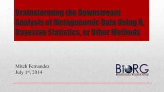 Brainstorming the Downstream
Analysis of Metagenomic Data Using R,
Bayesian Statistics, or Other Methods
Mitch Fernandez
July 1st, 2014
 