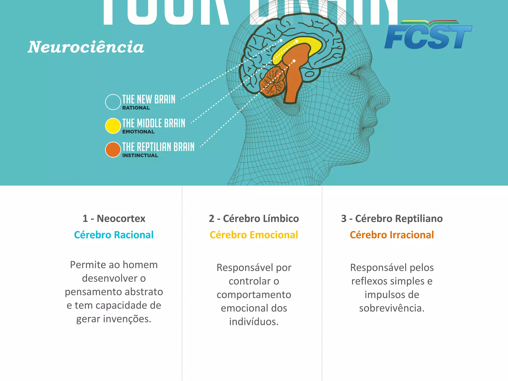 2 - Cérebro Límbico
Cérebro Emocional
Responsável por
controlar o
comportamento
emocional dos
indivíduos.
3 - Cérebro Reptiliano
Cérebro Irracional
Responsável pelos
reflexos simples e
impulsos de
sobrevivência.
1 - Neocortex
Cérebro Racional
Permite ao homem
desenvolver o
pensamento abstrato
e tem capacidade de
gerar invenções.
Neurociência
 