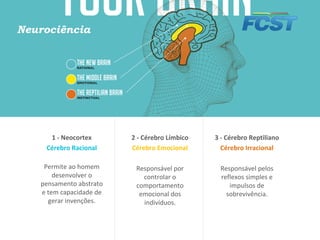 2 - Cérebro Límbico
Cérebro Emocional
Responsável por
controlar o
comportamento
emocional dos
indivíduos.
3 - Cérebro Reptiliano
Cérebro Irracional
Responsável pelos
reflexos simples e
impulsos de
sobrevivência.
1 - Neocortex
Cérebro Racional
Permite ao homem
desenvolver o
pensamento abstrato
e tem capacidade de
gerar invenções.
Neurociência
 