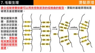6.彩妝 與 皮膚
建立或破壞雙硫鍵可以用來控制波浪的或捲曲的髮型。燙髮的基礎原理就是
破壞及重造雙硫鍵。
燙髮原理
雙硫鍵屬共價
鍵，是頭髮強
度的決定因素，
其存在的數量
對頭髮的物理
化學性能影響
很大。燙髮過
程其實就是雙
硫鍵的破壞與
重建。
7. 毛髮生理
 