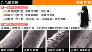 6.彩妝 與 皮膚 燙髮原理
第一劑藥水主要成份
乙硫醇酸(酸性) : 主要是切斷二硫化鍵。
阿摩尼亞(鹼性) : 使頭髮膨脹，毛鱗片張開。
添加物 : 如人蔘、羊毛脂…等，保護頭髮，增加香味。
健康 毛鱗片 毛鱗片 張開 破損的 毛鱗片 毛鱗片 嚴重脫落
第二劑藥水主要成份
溴酸鈉 或 溴酸鉀 或 過氧化氫 : 主要目的是將雙硫鍵在新的位置上重新鍵結。
7. 毛髮生理
 