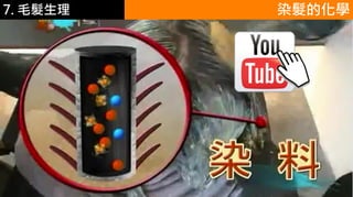 6.彩妝 與 皮膚 染髮的化學7. 毛髮生理
 