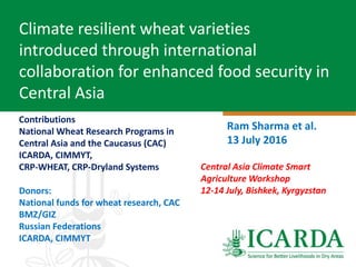 Climate resilient wheat varieties
introduced through international
collaboration for enhanced food security in
Central Asia
Ram Sharma et al.
13 July 2016
Central Asia Climate Smart
Agriculture Workshop
12-14 July, Bishkek, Kyrgyzstan
Contributions
National Wheat Research Programs in
Central Asia and the Caucasus (CAC)
ICARDA, CIMMYT,
CRP-WHEAT, CRP-Dryland Systems
Donors:
National funds for wheat research, CAC
BMZ/GIZ
Russian Federations
ICARDA, CIMMYT
 