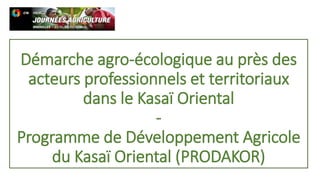 Démarche agro-écologique au près des
acteurs professionnels et territoriaux
dans le Kasaï Oriental
-
Programme de Développement Agricole
du Kasaï Oriental (PRODAKOR)
 