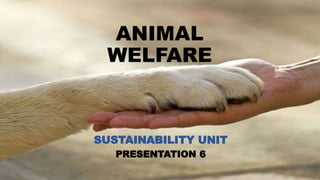 ANIMAL
WELFARE
SUSTAINABILITY UNIT
PRESENTATION 6
 