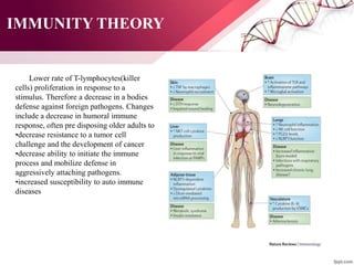 IMMUNITY THEORY
Lower rate of T-lymphocytes(killer
cells) proliferation in response to a
stimulus. Therefore a decrease in a bodies
defense against foreign pathogens. Changes
include a decrease in humoral immune
response, often pre disposing older adults to
•decrease resistance to a tumor cell
challenge and the development of cancer
•decrease ability to initiate the immune
process and mobilize defense in
aggressively attaching pathogens.
•increased susceptibility to auto immune
diseases
 