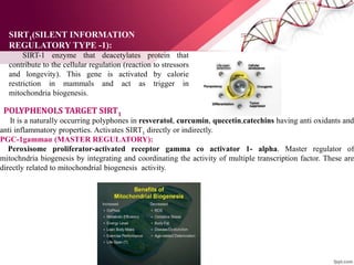 SIRT1(SILENT INFORMATION
REGULATORY TYPE -1):
SIRT-1 enzyme that deacetylates protein that
contribute to the cellular regulation (reaction to stressors
and longevity). This gene is activated by calorie
restriction in mammals and act as trigger in
mitochondria biogenesis.
It is a naturally occurring polyphones in resveratol, curcumin, quecetin,catechins having anti oxidants and
anti inflammatory properties. Activates SIRT1 directly or indirectly.
PGC-1gammaα (MASTER REGULATORY):
Peroxisome proliferator-activated receptor gamma co activator 1- alpha. Master regulator of
mitochndria biogenesis by integrating and coordinating the activity of multiple transcription factor. These are
directly related to mitochondrial biogenesis activity.
POLYPHENOLS TARGET SIRT1:
 