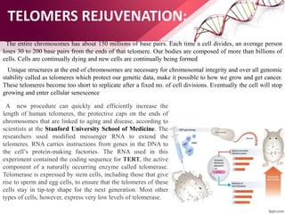 TELOMERS REJUVENATION:
The entire chromosomes has about 150 millions of base pairs. Each time a cell divides, an average person
loses 30 to 200 base pairs from the ends of that telomere. Our bodies are composed of more than billions of
cells. Cells are continually dying and new cells are continually being formed
Unique structures at the end of chromosomes are necessary for chromosomal integrity and over all genomic
stability called as telomeres which protect our genetic data, make it possible to how we grow and get cancer.
These telomeres become too short to replicate after a fixed no. of cell divisions. Eventually the cell will stop
growing and enter cellular senescence
A new procedure can quickly and efficiently increase the
length of human telomeres, the protective caps on the ends of
chromosomes that are linked to aging and disease, according to
scientists at the Stanford University School of Medicine. The
researchers used modified messenger RNA to extend the
telomeres. RNA carries instructions from genes in the DNA to
the cell’s protein-making factories. The RNA used in this
experiment contained the coding sequence for TERT, the active
component of a naturally occurring enzyme called telomerase.
Telomerase is expressed by stem cells, including those that give
rise to sperm and egg cells, to ensure that the telomeres of these
cells stay in tip-top shape for the next generation. Most other
types of cells, however, express very low levels of telomerase.
 