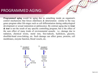 PROGRAMMED AGING:
Programmed aging would be aging due to something inside an organism's
control mechanisms that forces elderliness & deterioration similar to the way
genes program other life-stages such as cell differentiation during embryological
development or sexual maturation at adolescence. By contrast aging due to wear
& tear is not the result of any specific controlling program, but is the effect of
the sum effect of many kinds of environmental assaults i.e., damage due to
radiation, chemical toxins, metal ions, free-radicals, hydrolysis, glycerin,
disulfide-bond cross-linking, etc. Such damage can affect genes, proteins, cell
membranes, enzyme function, blood vessels, etc.
 