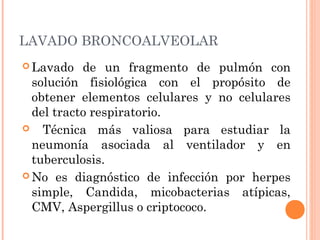 LAVADO BRONCOALVEOLAR
 Lavado de un fragmento de pulmón con
solución fisiológica con el propósito de
obtener elementos celulares y no celulares
del tracto respiratorio.
 Técnica más valiosa para estudiar la
neumonía asociada al ventilador y en
tuberculosis.
 No es diagnóstico de infección por herpes
simple, Candida, micobacterias atípicas,
CMV, Aspergillus o criptococo.
 