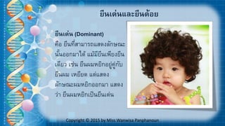 Copyright © 2015 by Miss Wanwisa Panphanoun
ยีนเด่น (Dominant)
คือ ยีนที่สามารถแสดงลักษณะ
นั้นออกมาได้ แม้มียีนเพียงยีน
เดียว เช่น ยีนผมหยิกอยู่คู่กับ
ยีนผม เหยียด แต่แสดง
ลักษณะผมหยิกออกมา แสดง
ว่า ยีนผมหยิกเป็นยีนเด่น
ยีนเด่นและยีนด้อย
 