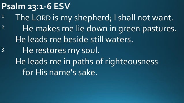 06 18 17 Psalm 231 6 The Shepherd