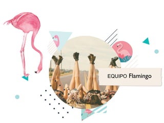 Presentación de agencia - Flamingo Comunicación 2019 