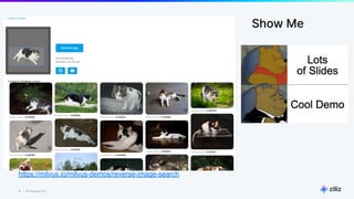 12 | © Copyright Zilliz
12
https://milvus.io/milvus-demos/reverse-image-search
Show Me
 
